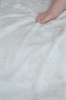 Thumnail / 2 / 17 / 29